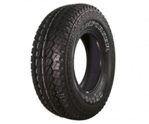 Comforser CF1000 tyre
