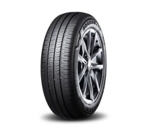 Nexen ROADIAN CTX(Ducato) tyre