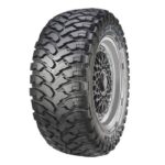 Comforser CF3000 F2 tyre