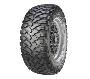 Comforser CF3000 F2 tyre